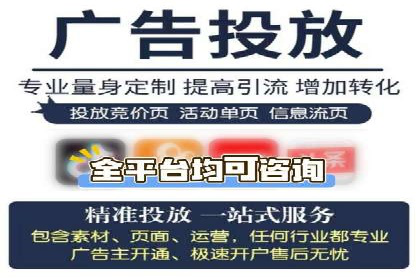 SEM代理案例：揭秘成功背后的秘密